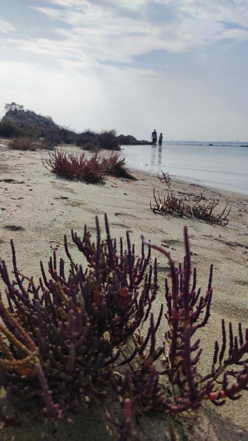 Fantastic 4 Cyprus First Line Beachfront Boghaz Exteriör bild