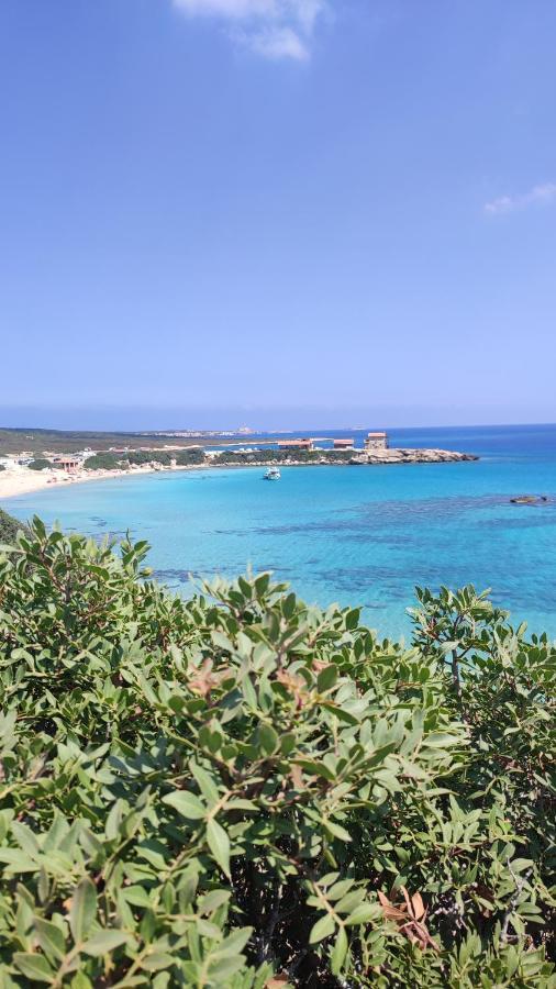 Fantastic 4 Cyprus First Line Beachfront Boghaz Exteriör bild