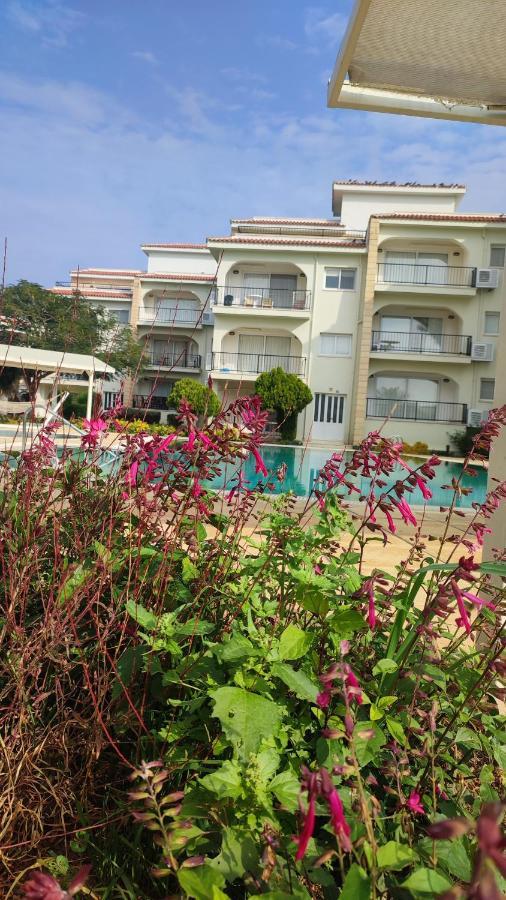 Fantastic 4 Cyprus First Line Beachfront Boghaz Exteriör bild