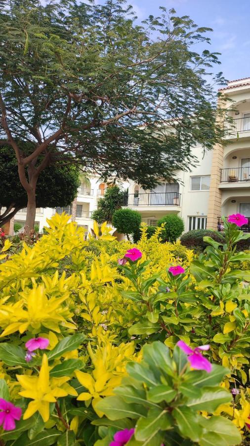 Fantastic 4 Cyprus First Line Beachfront Boghaz Exteriör bild